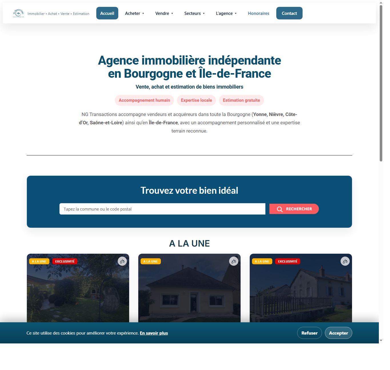 Capture du site NG Transactions